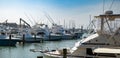 PORT ARANSAS, TX - 22 FEB 2023: Marina with Sport Fishing Boats Royalty Free Stock Photo