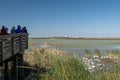 Photographers and ornithologists looking at birds in wetland at the Port Aransas Nature Preserve