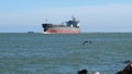 PORT ARANSAS, TX - 13 FEB 2020: The STENAWECO ENGERGY, an Oil Tanker Ship sails in from the Gulf of Mexico, with brown pelicans