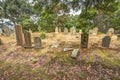 Port Arthur graveyard Royalty Free Stock Photo