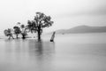 Port Blair in Black and White