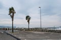 Port Cogolin beach shore rainy day with wind palm trees