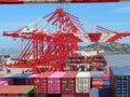 Port, container, transport, commercial, China, ships, vessel, Shanghai