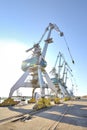 Port cranes Royalty Free Stock Photo