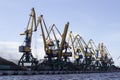 Port cranes load coal into railway cars. The territory of the coal port