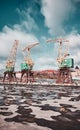 Port cranes on Szczecin Lasztownia island, Poland