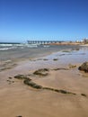 Port Elizabeth seascape Royalty Free Stock Photo