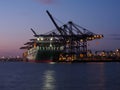 Port of Felixstowe, cranes loading containers onto the Ever Ace container ship Royalty Free Stock Photo