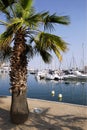 Port of Frejus Royalty Free Stock Photo