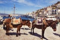 Port of Hydra, Greece