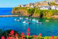 Port Isaac Cornwall boats and pink flowers