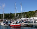 View of the harbor on the island of Terceira. Royalty Free Stock Photo