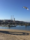 Port Jefferson pier