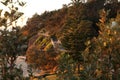 Port Macquarie Coastal Walk Boardwalk at Oxley Beach sunrise Royalty Free Stock Photo