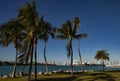 Port of Miami from South Pointe Park in Miami with Palms. Royalty Free Stock Photo