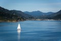 Port of Picton seen from ferry from Wellington to Picton via Marlborough Sounds, New Zealand