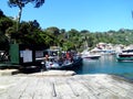 Port of portofino, liguria, golfo del tigullio, italy Royalty Free Stock Photo