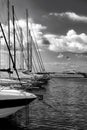 Port of Rome in black and white
