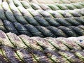 Port rope. Mooring rope. Rope for fastening ships and cargo