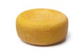 Port salut cheese Royalty Free Stock Photo