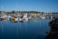 Port Sidney Marina with sailboats reflected in the waters under a clear blue sky