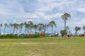 Forgotten Coast Sea Turtle Festival