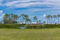 Forgotten Coast Sea Turtle Festival