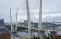 Port of Vladivostok. Golden Horn Bay. Panorama. Royalty Free Stock Photo