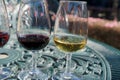 port wine testing Royalty Free Stock Photo