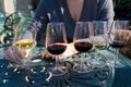 port wine testing Royalty Free Stock Photo