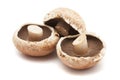 Portabello mushrooms Royalty Free Stock Photo