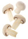 Portabello mushrooms Royalty Free Stock Photo