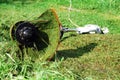 Portable electric grass trimmer lying on green lawn Royalty Free Stock Photo