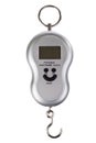 Portable electronic scale