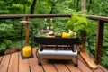 a portable grill on a wooden deck surrounded by greenery