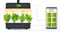 Portable hydroponic aeroponic system for eco-friendly growing of green lettuce, vegetables and herbs. With automatic