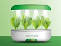 Portable hydroponic aeroponic system for eco-friendly growing of green lettuce, vegetables and herbs. With automatic