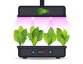 Portable hydroponic aeroponic system for eco-friendly growing of green lettuce, vegetables and herbs. With automatic