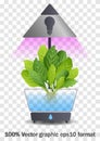 Portable hydroponic aeroponic system for eco-friendly growing of green lettuce, vegetables and herbs. With automatic