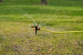 The portable sprinkler sprinkles abundantly water in the summer heat on the lawn to recover dried grass.