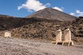 Portable toilets in Tongariro National Park