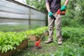 Portable trimmer for cutting grass and undesirable plant in hands of person In action