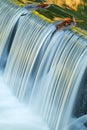 Portage Creek Cascade and Reflecions