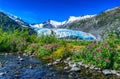 Portage Glacier, Alaska Royalty Free Stock Photo