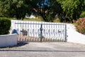 Portal black retro classic steel old ancient style gate classical home entrance Royalty Free Stock Photo