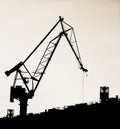 A Portal Crane Royalty Free Stock Photo