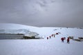 There is the sea next to the thick ice sheet. Tourists are walking on the thick ice field. Royalty Free Stock Photo