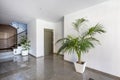 Portal of a residential building with greyish marble, a potted palm and an access door to an elevator