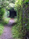A Portal To The Faery Realm On The Darent Valley Path Royalty Free Stock Photo