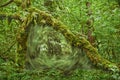Portal vortex in forest under archway of moss covered tree